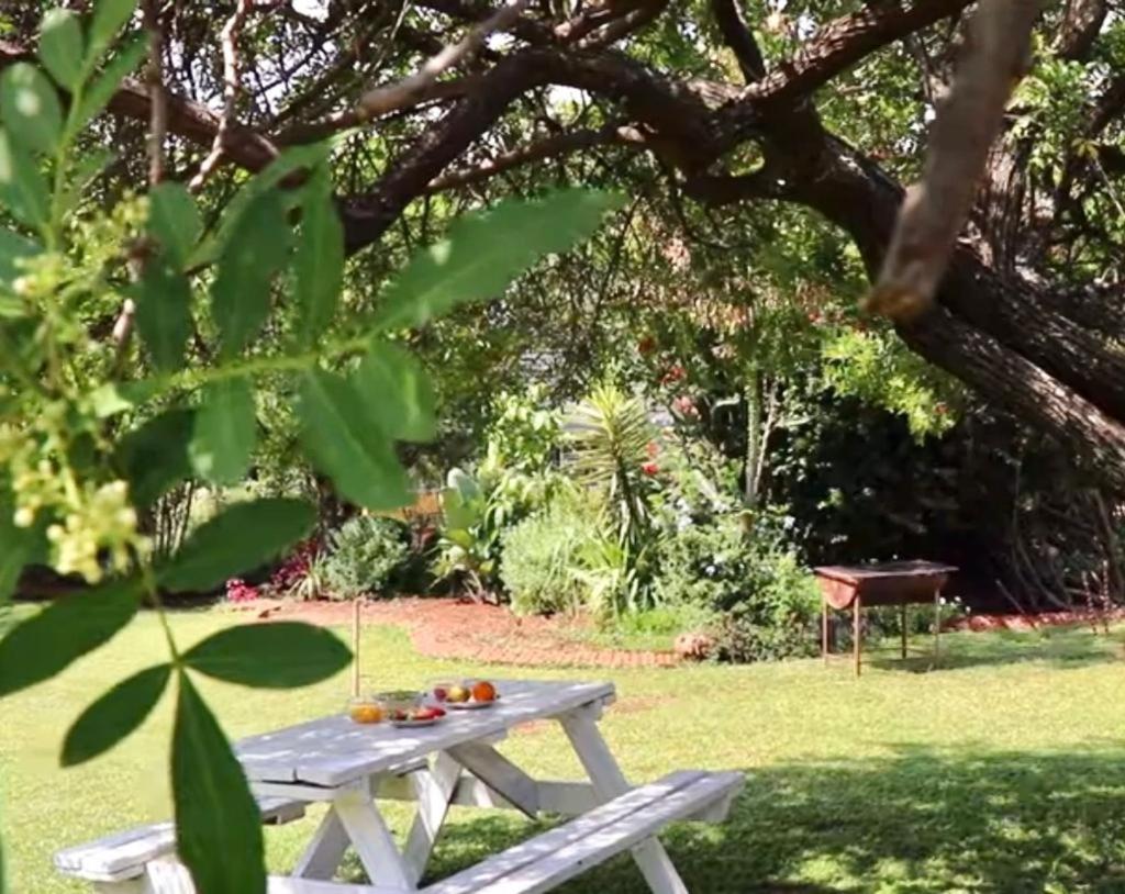 Choice Backpackers Lodge Булавайо Екстериор снимка